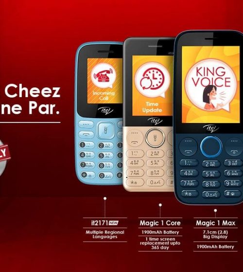 Now Your Keypad Mobile Phone Will Talk: King Voice